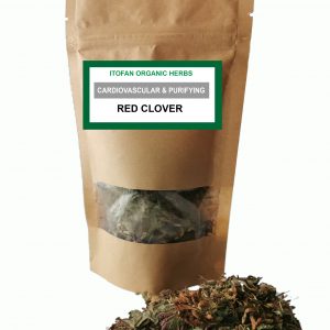 Red Clover Traditional Herb