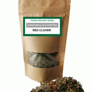 Red Clover Traditional Herb