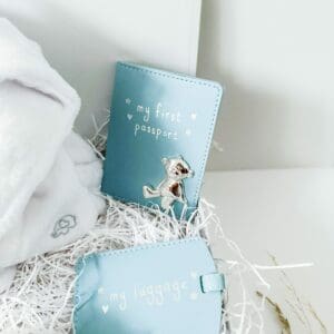 Baby Passport & Luggage Tag Blue Letterbox Gift Set