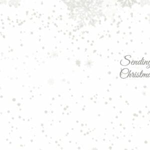 Santa and Mrs Claus Snow Globe Christmas Card