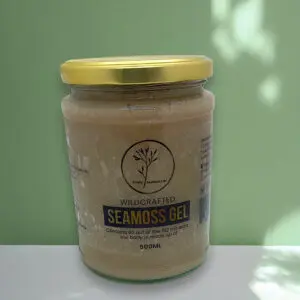 Hibiscus and Ginger Infused Seamoss Gel