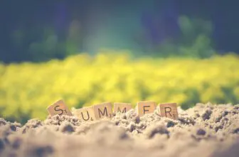 7 Amazing Summer Gifts