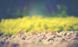 7 Amazing Summer Birthday Gifts