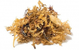 The Top 10 Health Benefits of Sea Moss