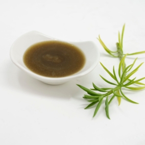 Carapa Procera Oil – PURE