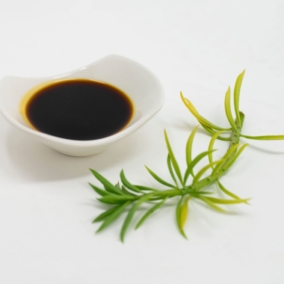 Palm Kernel Oil